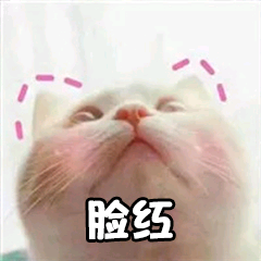 custom_smilies