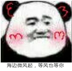 custom_smilies