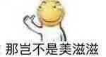 custom_smilies
